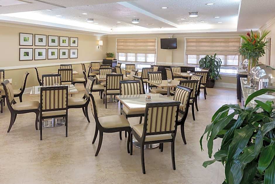 Comfort Suites Paradise Island