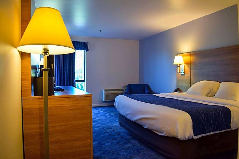 Comfort Inn Bellingham