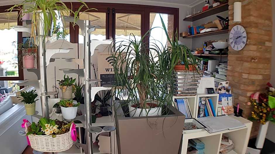 Ostello Molino Di Basso