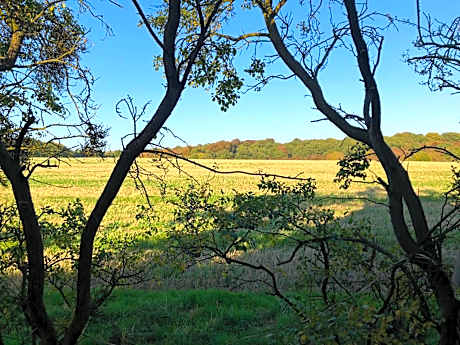 Double Room with Garden View