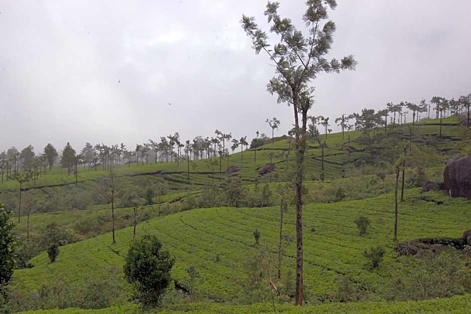 Hotel Grand Plaza Munnar