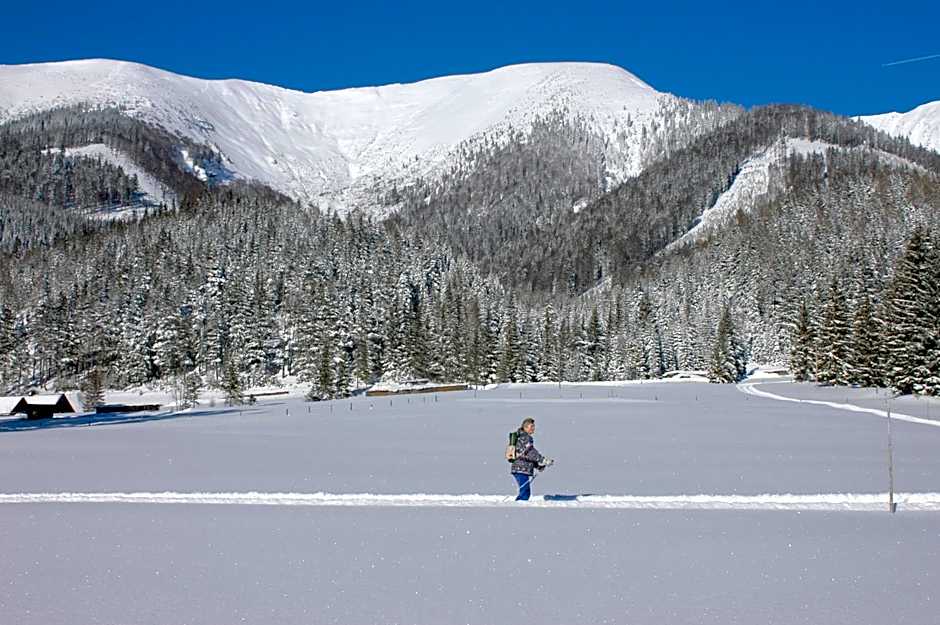 Gasthof Zum Niederhaus - Familie Perthold