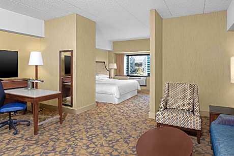 King Room with Sofa Bed