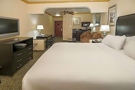 Suite King Bed Non Smoking