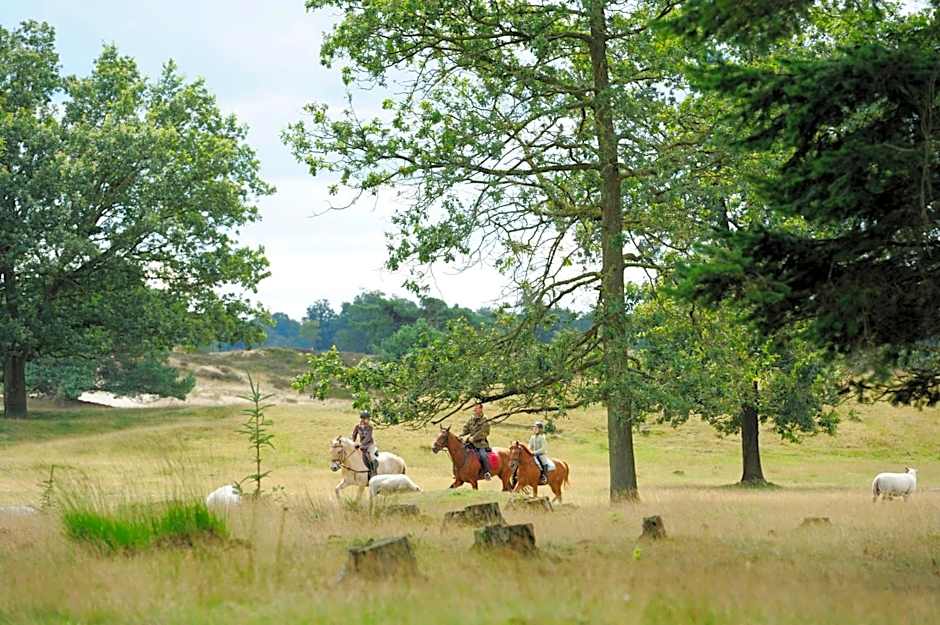 RCN Vakantiepark de Roggeberg