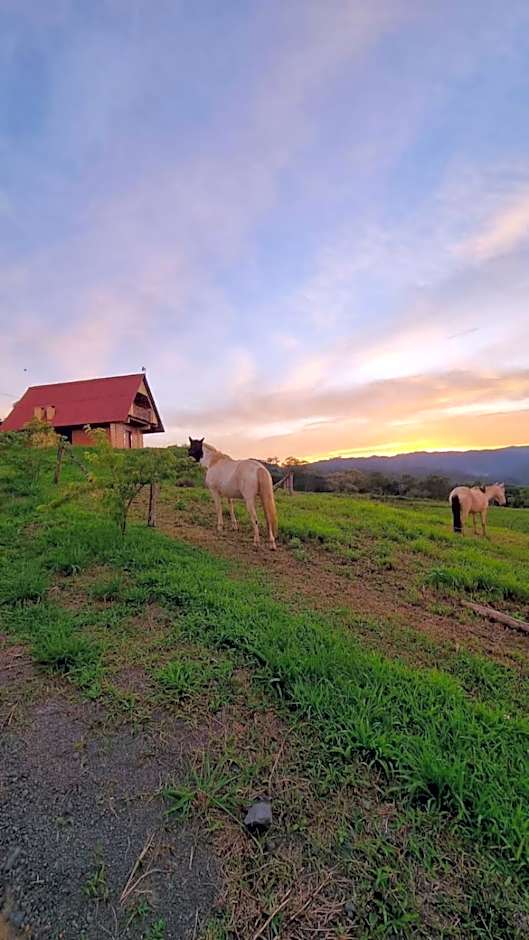 Chalé das Margaridas