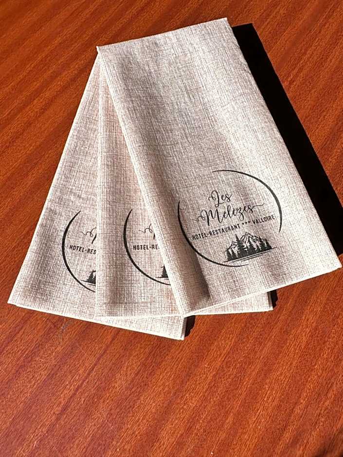 Hôtel-Chalet les Mélèzes