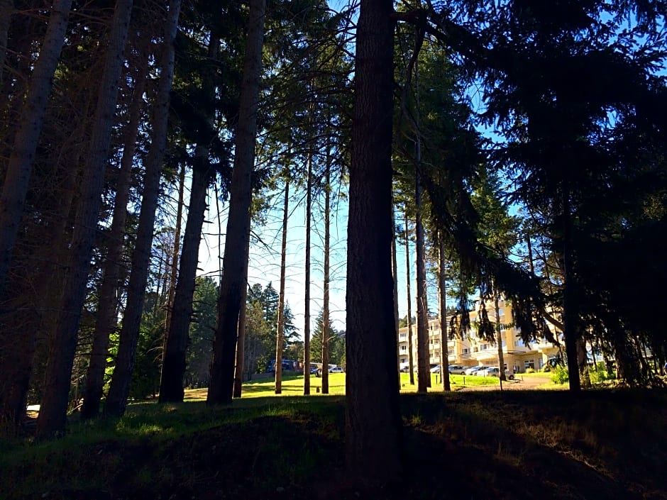 Huinid Pioneros Hotel