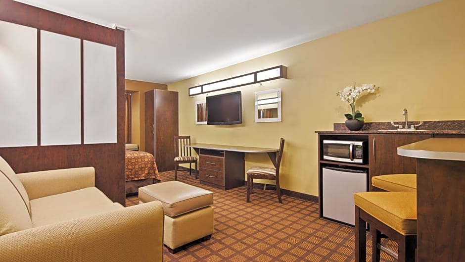 Microtel Inn & Suites by Wyndham Buda Austin South