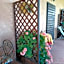 B&B 8380 Saturnia Terme