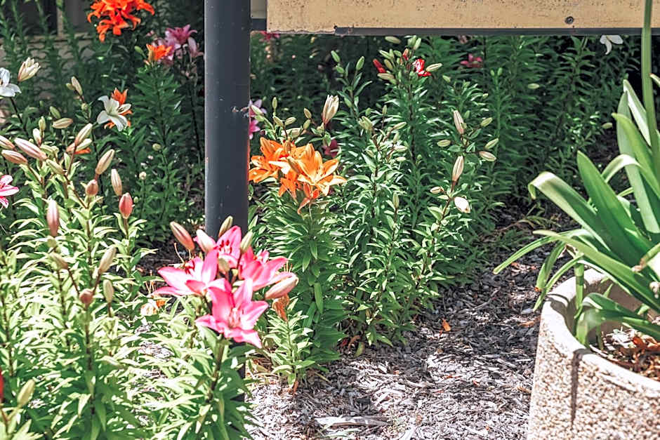 Eaglehawk Park Canberra