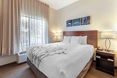 1 King Bed Suite Nonsmoking Upgrade