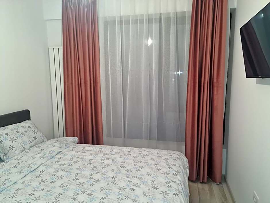 Apartament David