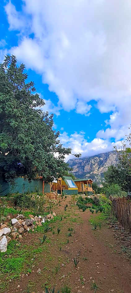 Goat Bungalow and Camping