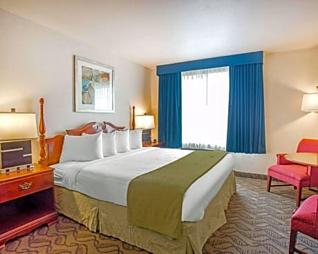 1 King Bed, Suite, Nonsmoking