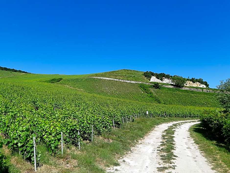 La Cour des Marotiers