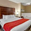 Comfort Inn & Suites Canton Riverstone Area