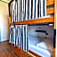 Rossio Hostel