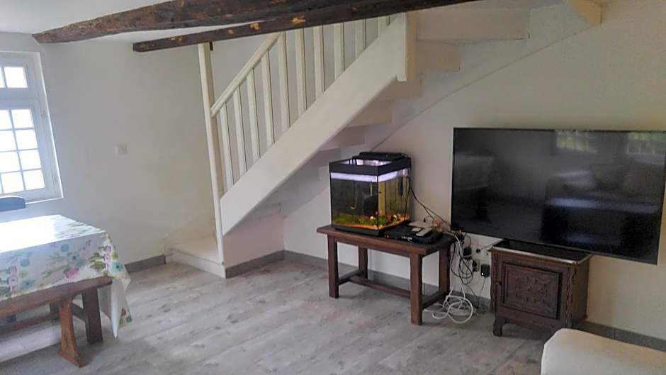 Hostel du lapin blanc