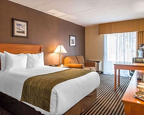 1 Queen Bed, Nonsmoking