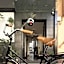 Casa Decu