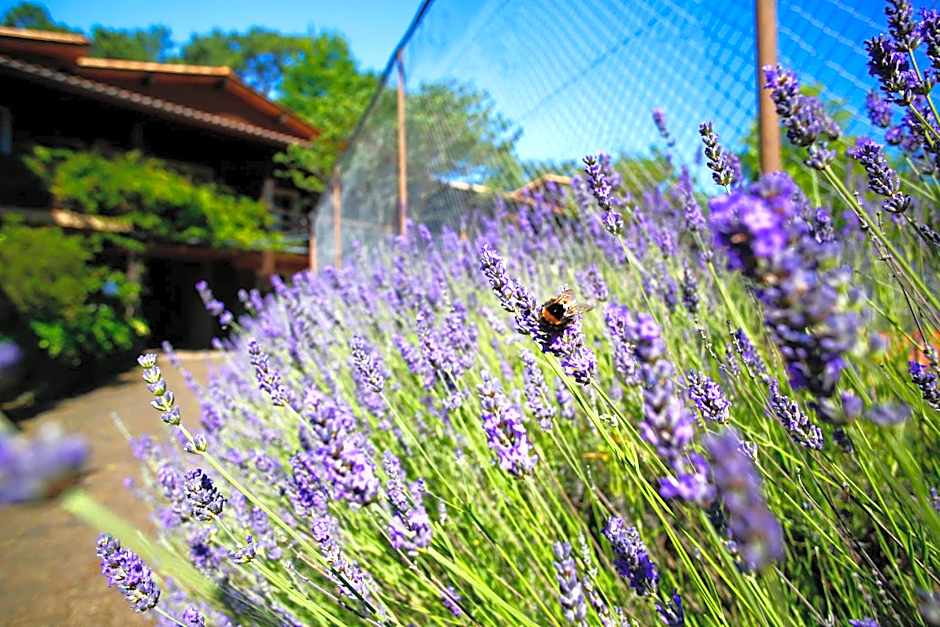 Hotel Résidence Le Sporting