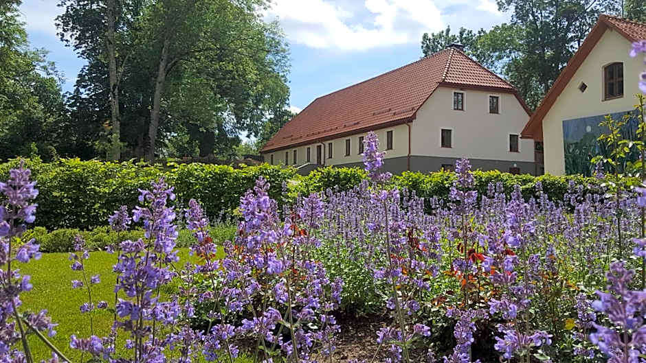Kalnmuižas pils