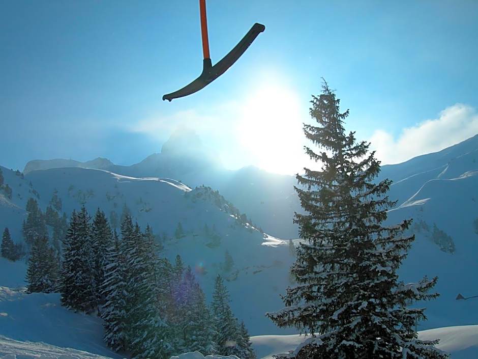 Hotel Tannenboden - Steinbock