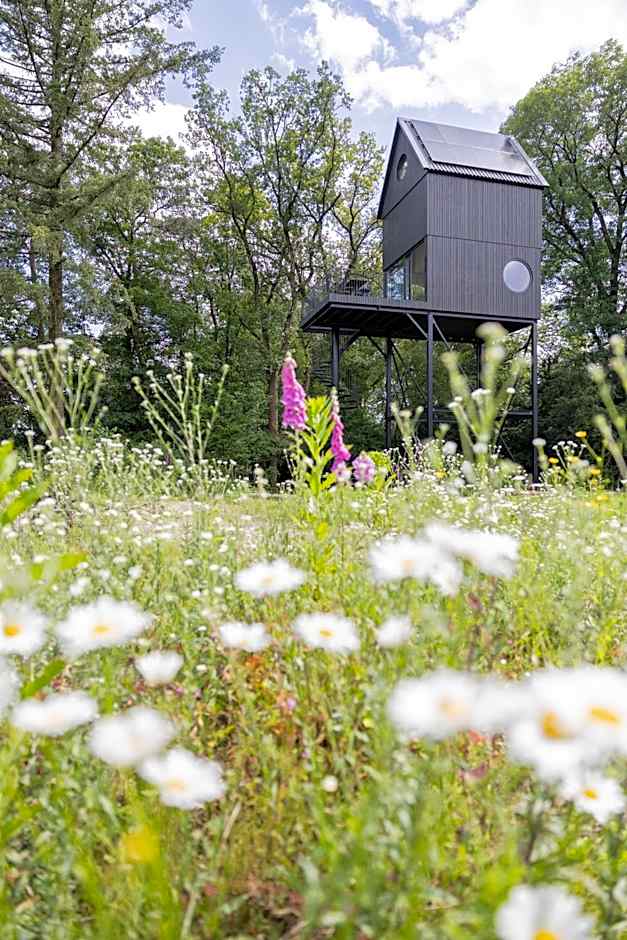 Buitenverblijf NEST