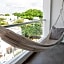 Soho Playa Hotel
