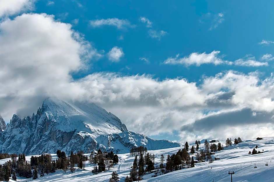 COMO Alpina Dolomites