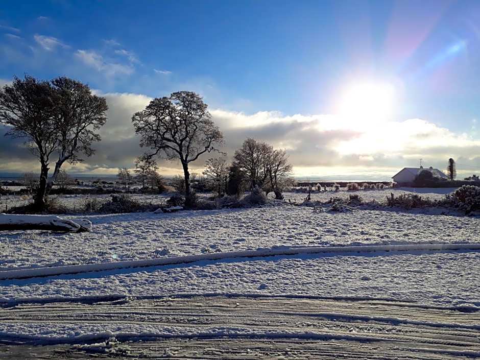 Cherrytree House B&B