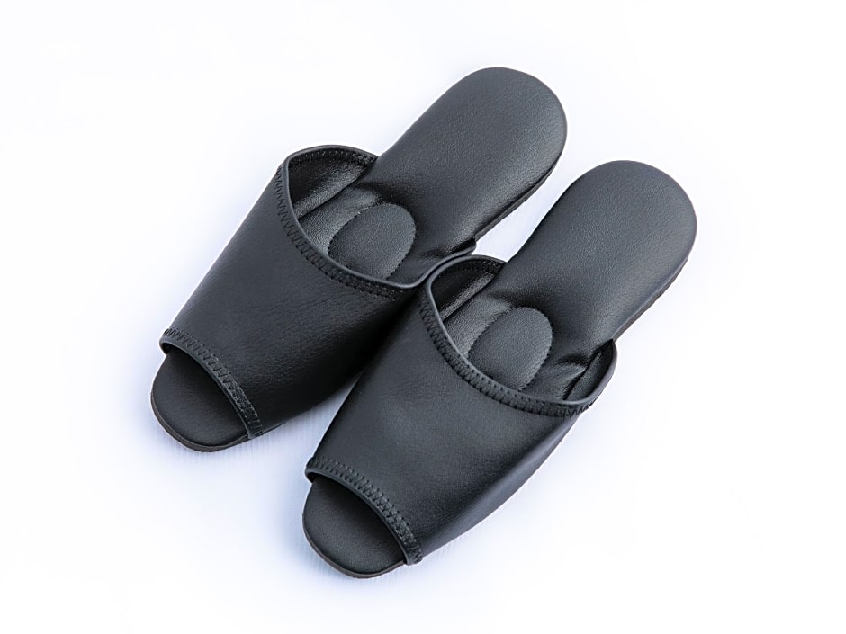 APA Hotel Iidabashi-Eki Minami