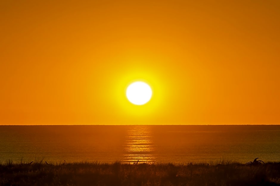 Ocean View Beachfront Apartment