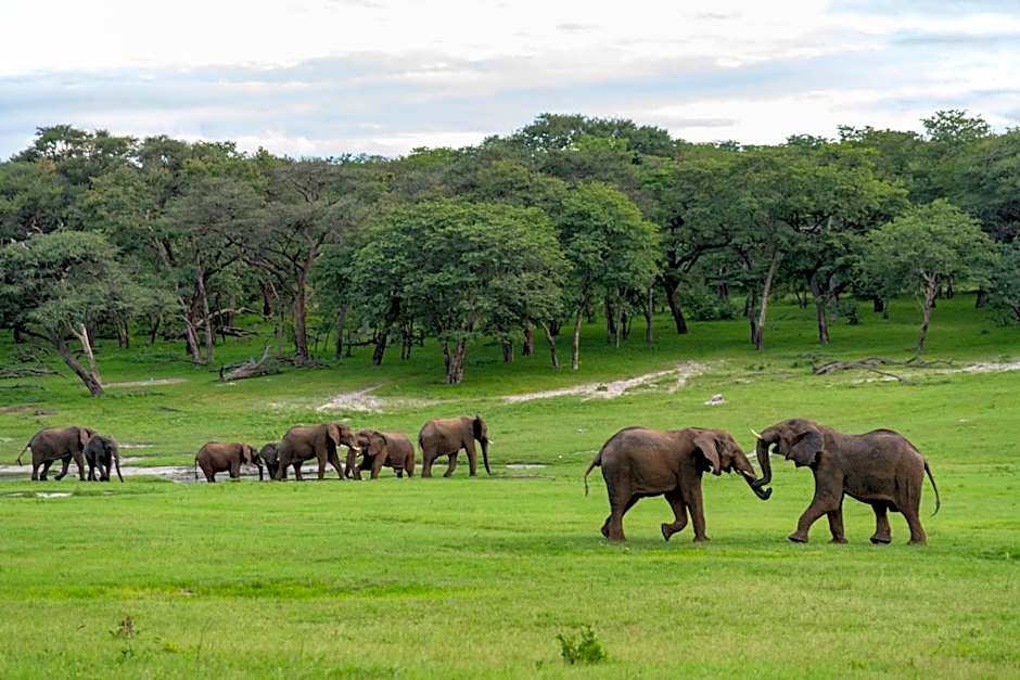 Hwange Safari Lodge