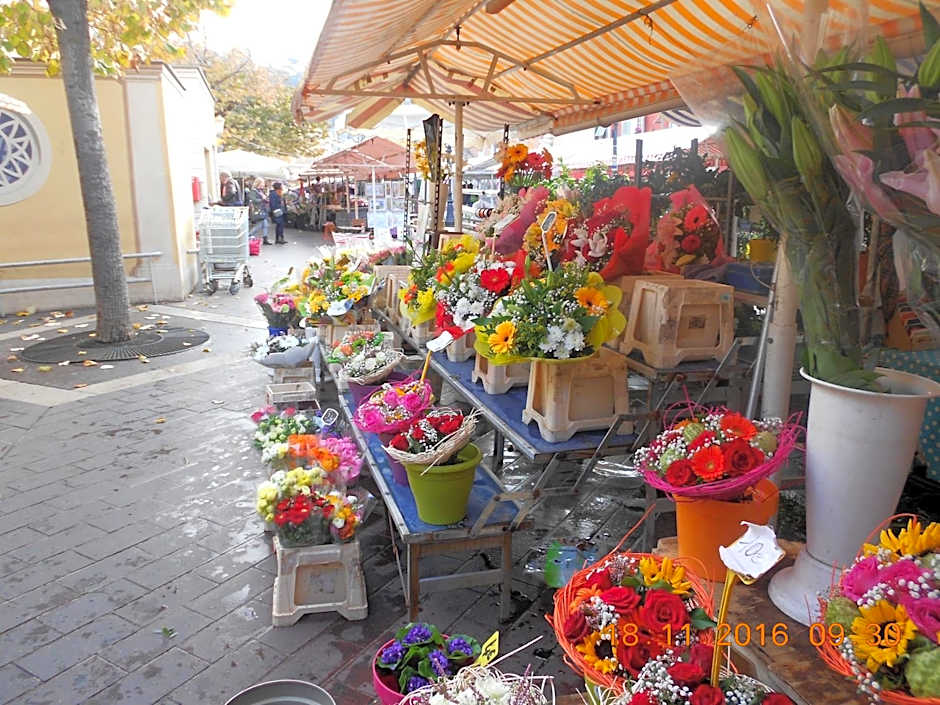 Breakfast at Sophy's