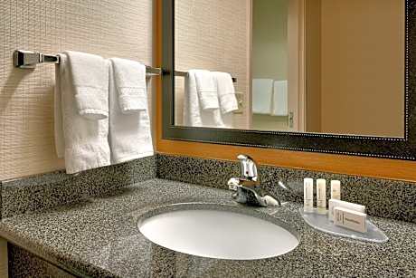 1 King Mobility Accessible Roll In Shower