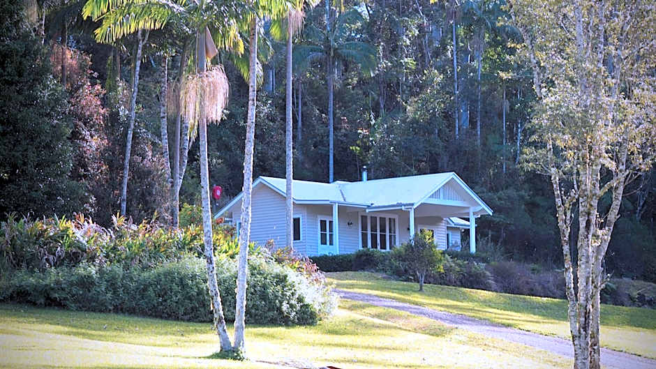 Nightcap Ridge - Byron Bay Hinterland