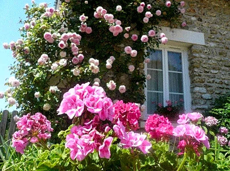 Chambres d'Hôtes La Pocterie