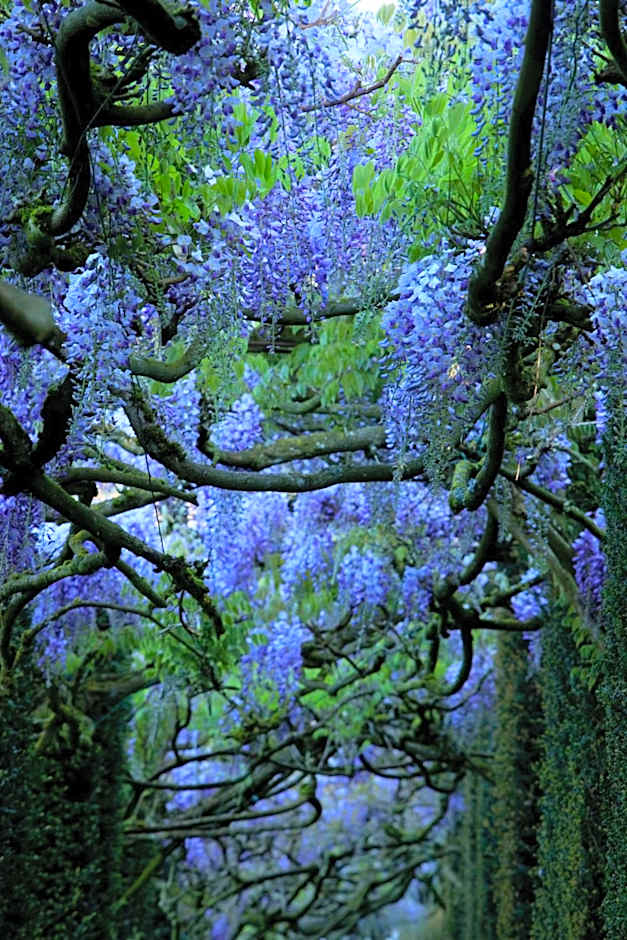 Château de La Ballue - Les Collectionneurs