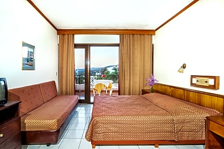 Standard Double/Twin Room