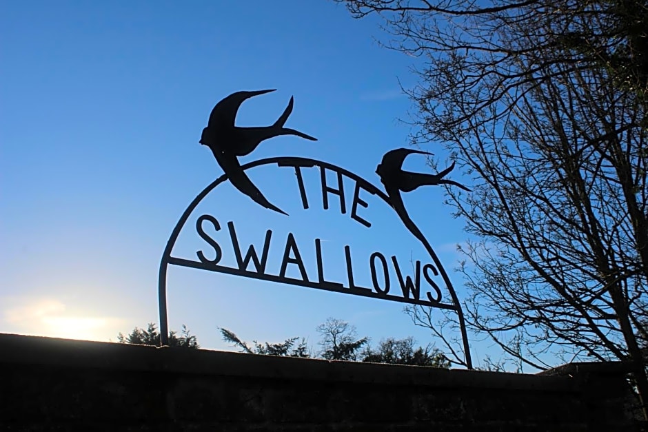 The Swallows