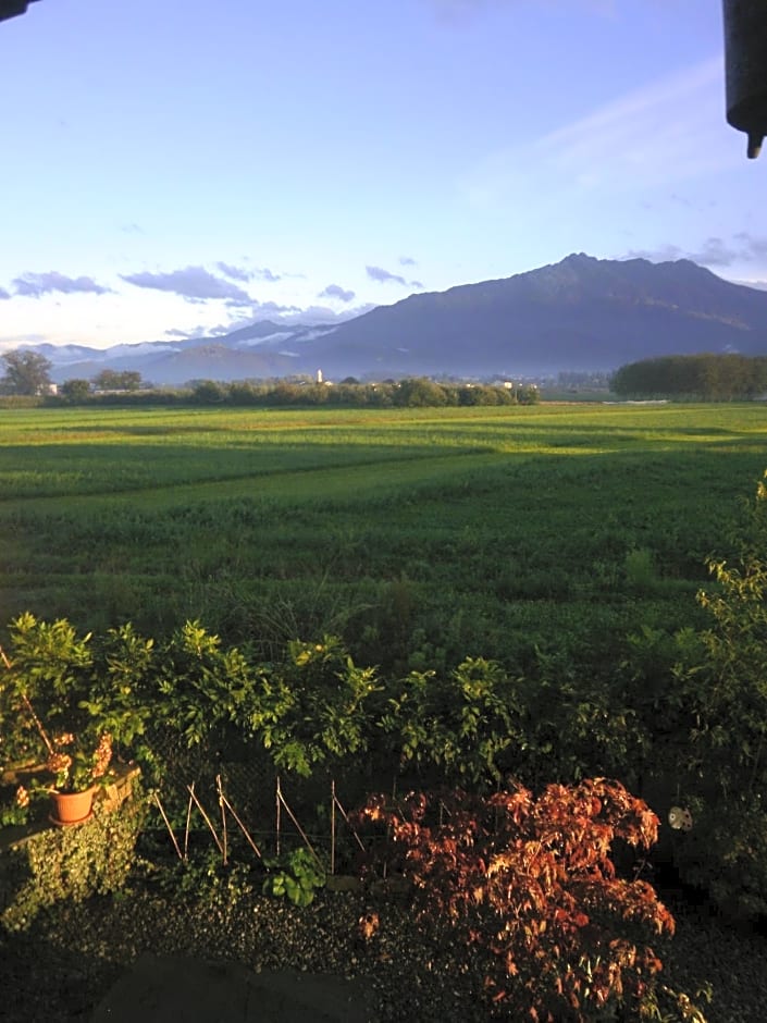 Bed and breakfast Al Rudun