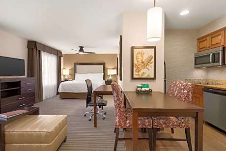 1 King Bed Studio Suite Nonsmoking