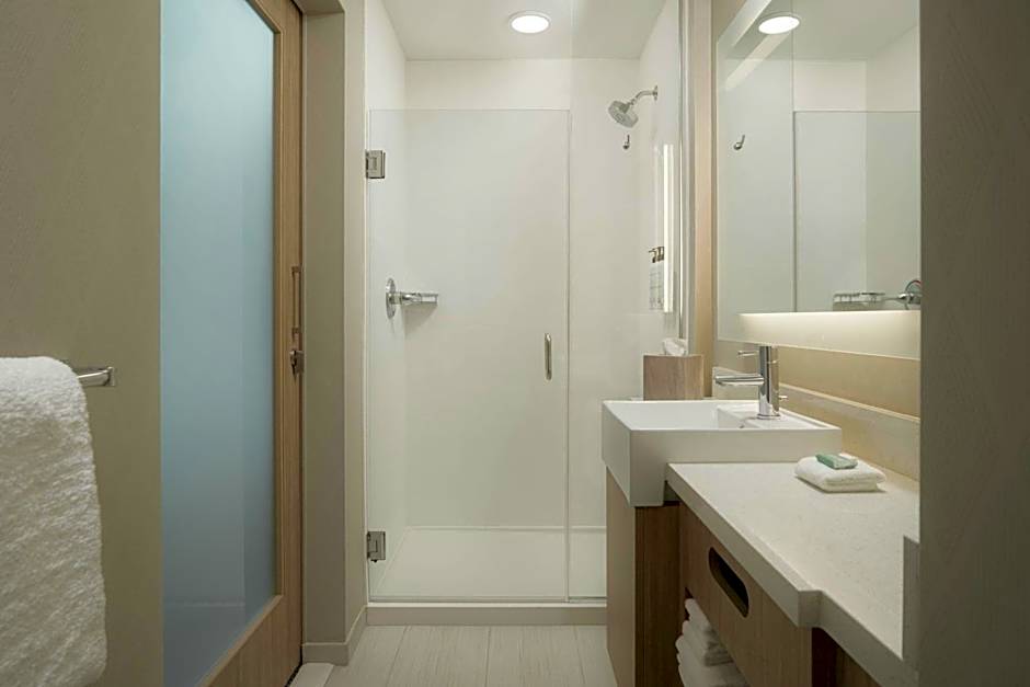 SpringHill Suites by Marriott Tampa Downtown