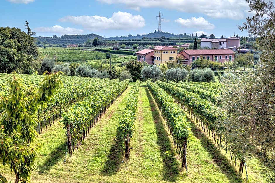 Tenuta di Palú