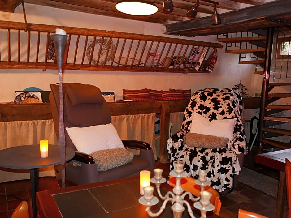 Les Insolites de Coco