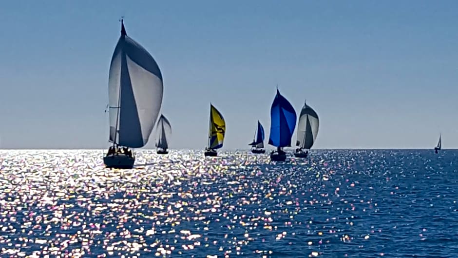Location Chambre d'hôtes Grau du Roi Mas des Marines Piscine Adult only