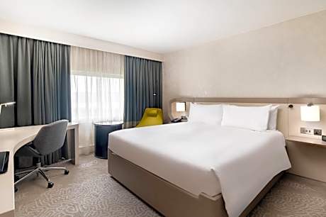 King Guest Room