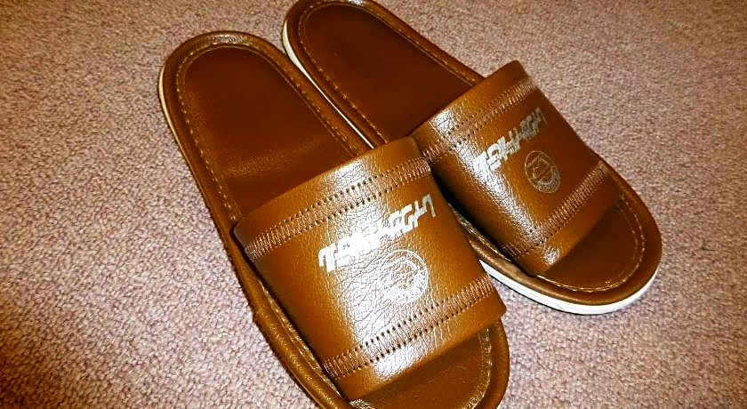 Kawaguchiko Lakeside Hotel